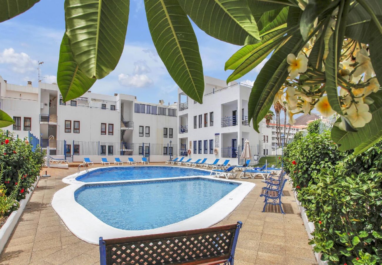 Apartamento en Los Cristianos - Ferdy's Home, Pool, Wi Fi, Downtown Los Cristianos 