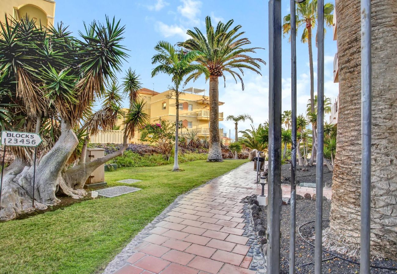 Estudio en San Miguel de Abona - Zen Holidays, Heated Pool, Cond. Air, Terrace 