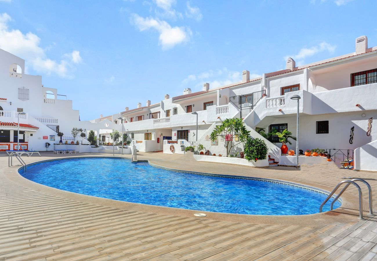 Estudio en Los Cristianos - Relaxing Studio Los Cristianos,AirCon, Heated Pool 