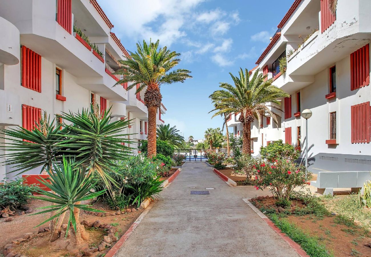 Apartamento en Playa de Las Americas - Charming Las Americas, Terrace, Fiber, Pool 