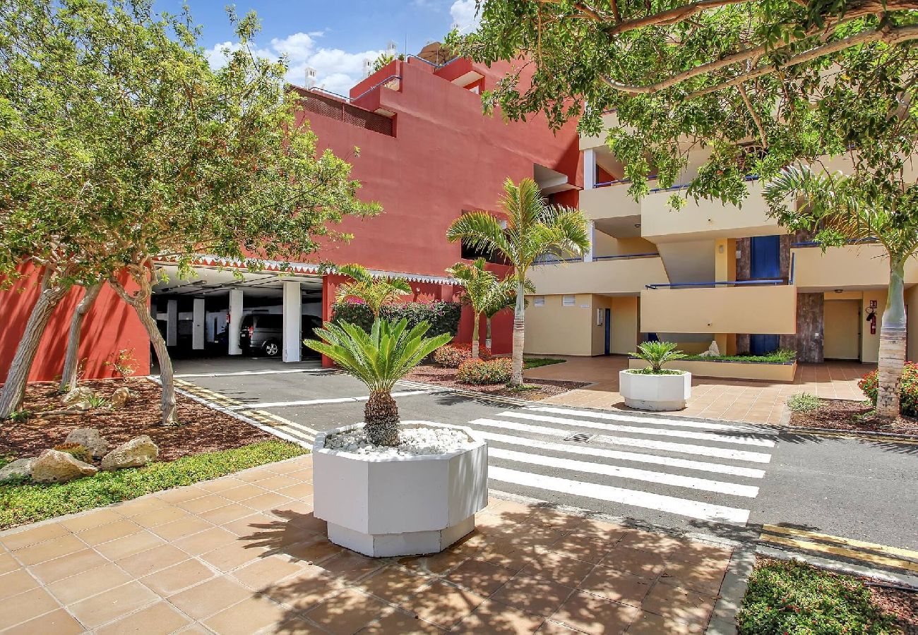 Apartamento en Costa Adeje - Best Apartment, Huge Terrace Overlooking The Coast 