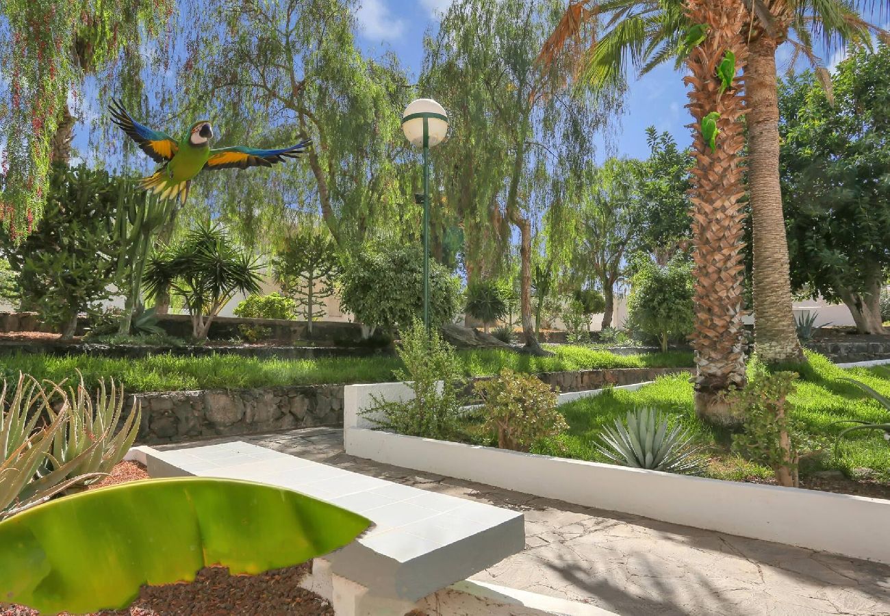 Estudio en Costa del Silencio - Parrot Paradise Studio, WiFi, Smart Tv, Pool 