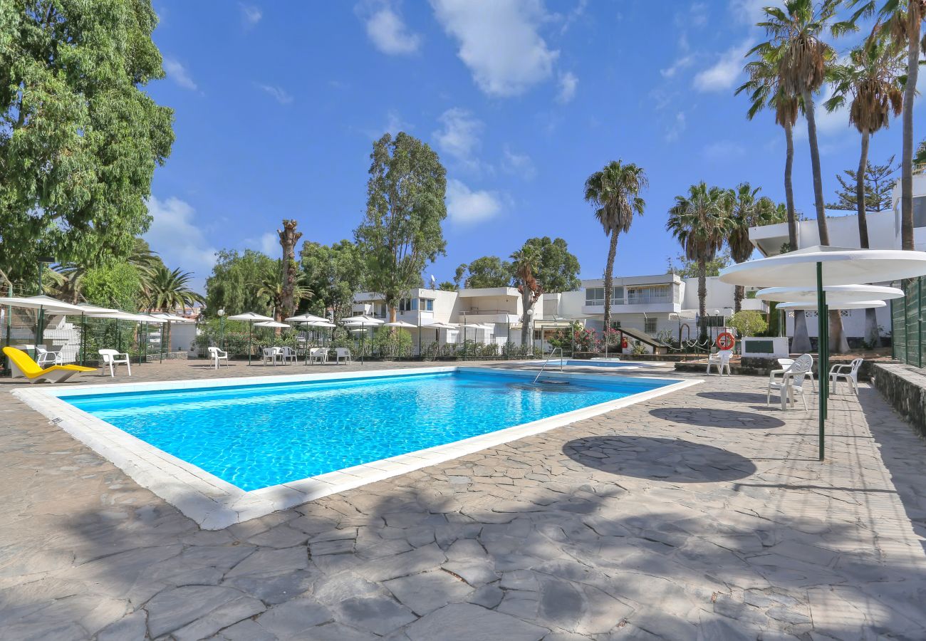 Estudio en Costa del Silencio -  Studio Parrot