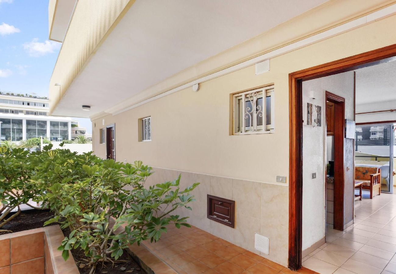 Apartamento en Los Cristianos - The Atlantic Holidays, 170 m. From The Sea 