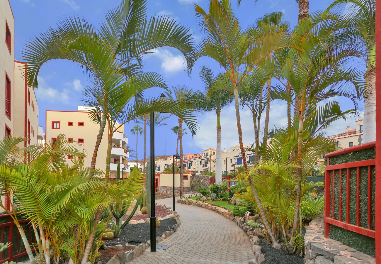 Apartamento en Palm - Mar - Spring Sensations, Palm Mar, Pools, Fiber, Parking