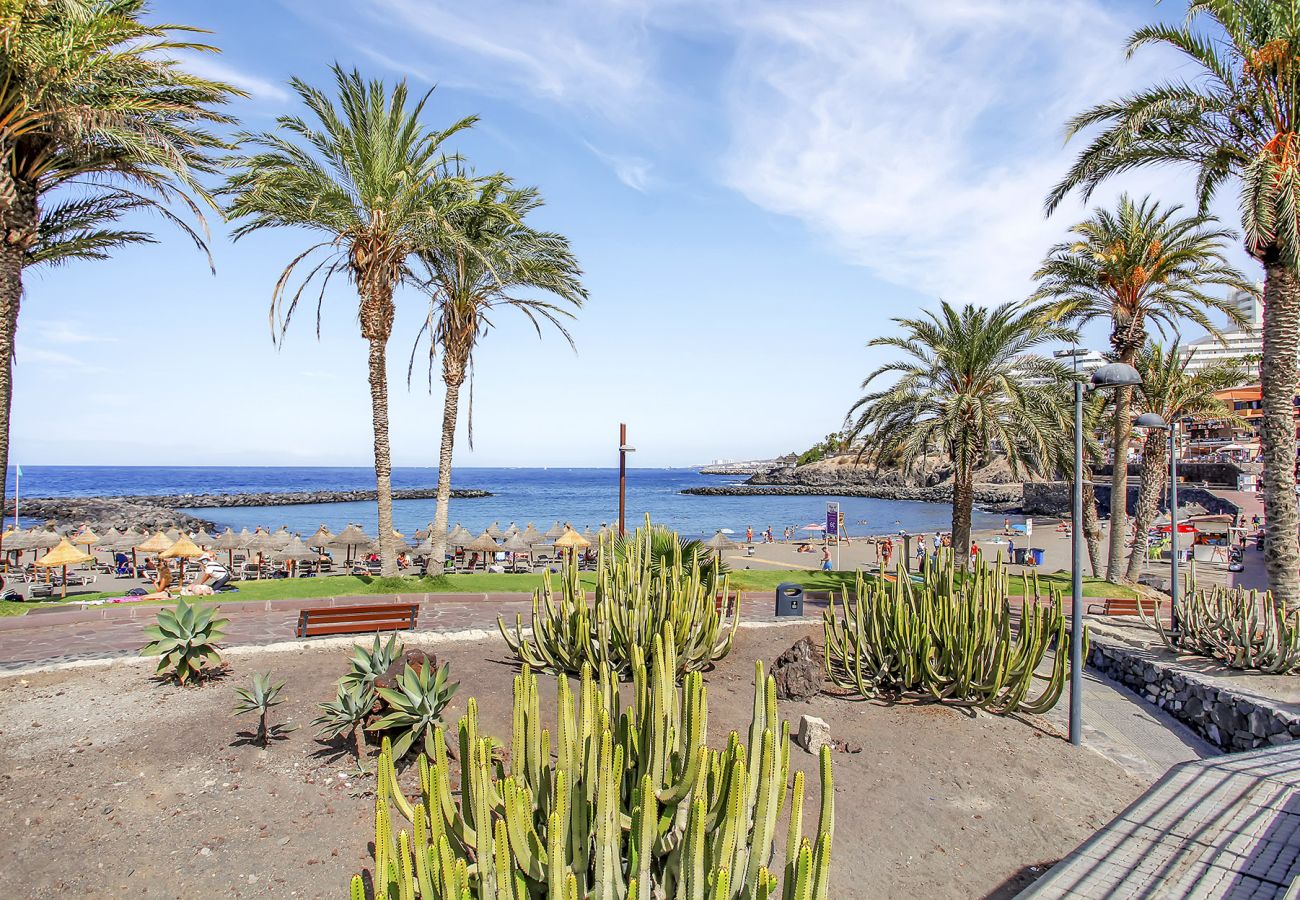 Studio in Playa de Las Americas - Ocean Touch Studio, Pool, Wi-Fi, Near the Beach