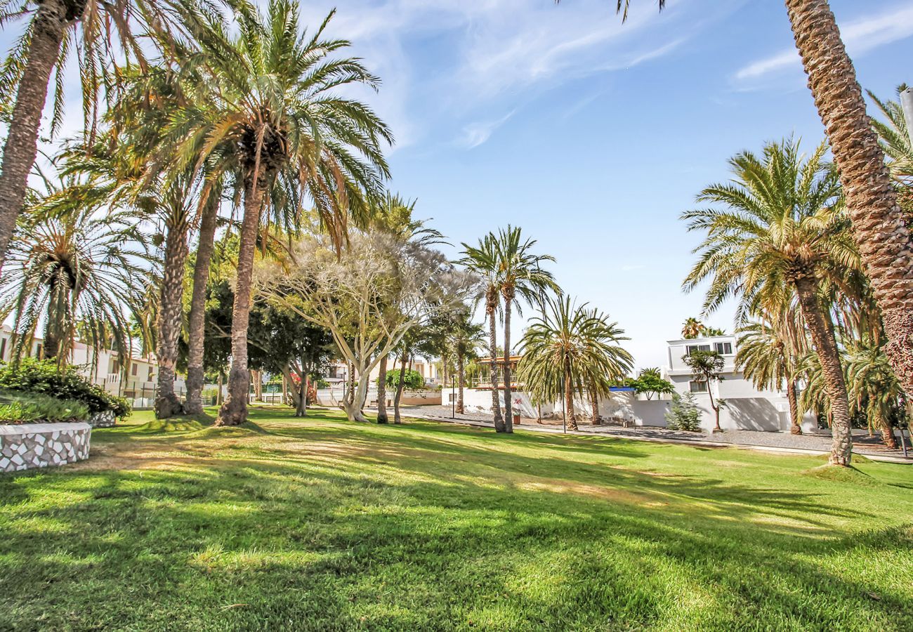 Studio in Playa de Las Americas - Ocean Touch Studio, Pool, Wi-Fi, Near the Beach