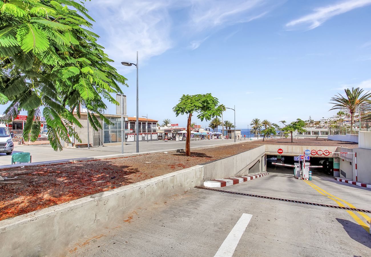 Studio in Playa de Las Americas - Ocean Touch Studio, Pool, Wi-Fi, Near the Beach