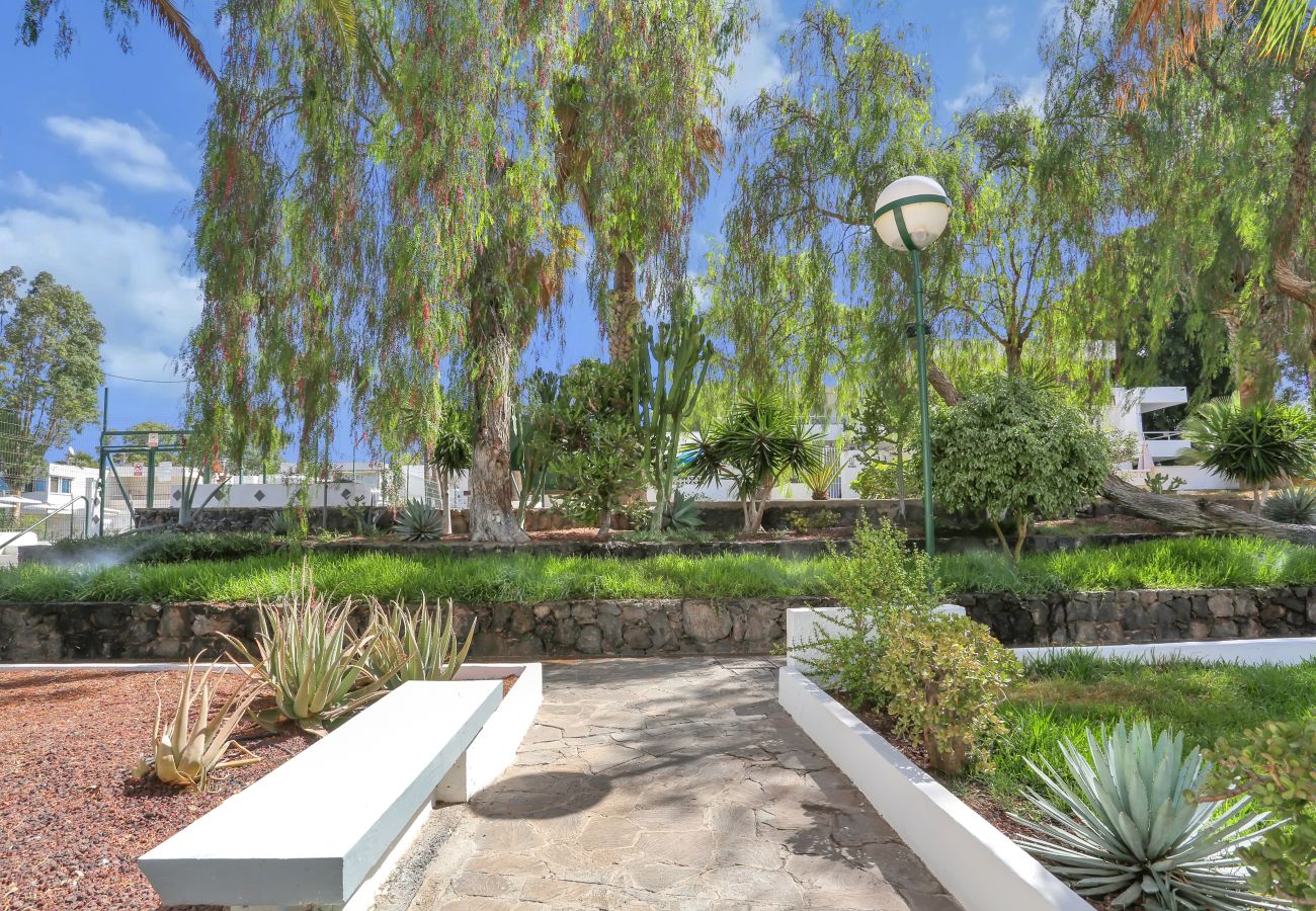 Studio in Costa del Silencio -  Studio Parrot