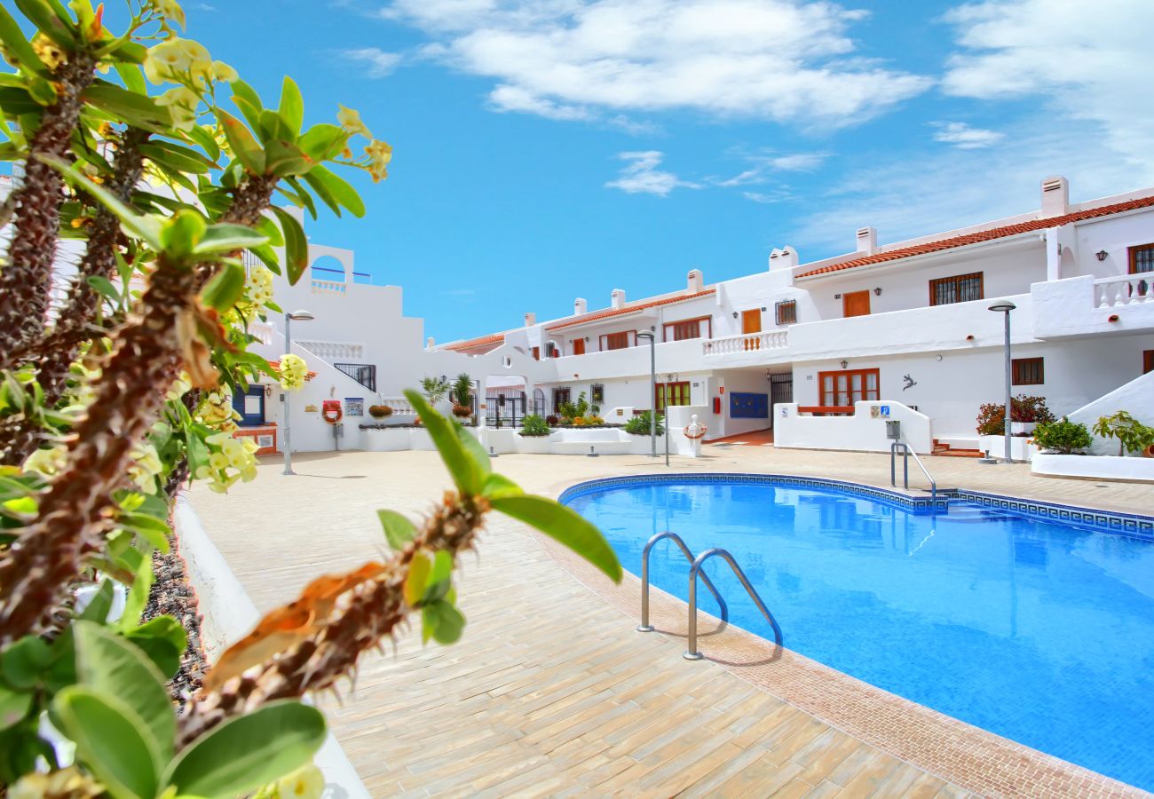 Studio a Los Cristianos - Relaxing Studio Los Cristianos,AirCon, Heated Pool 