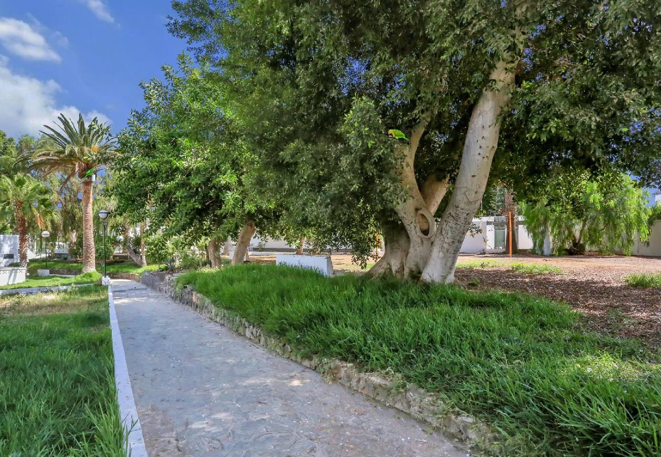 Studio a Costa del Silencio - Parrot Paradise Studio, WiFi, Smart Tv, Pool 