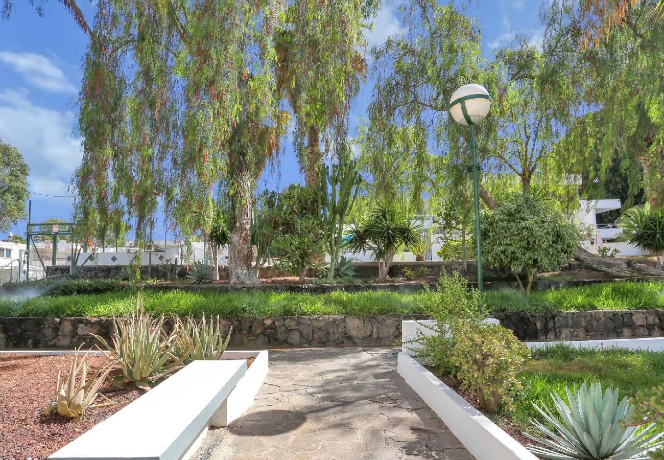 Studio a Costa del Silencio - Parrot Paradise Studio, WiFi, Smart Tv, Pool 