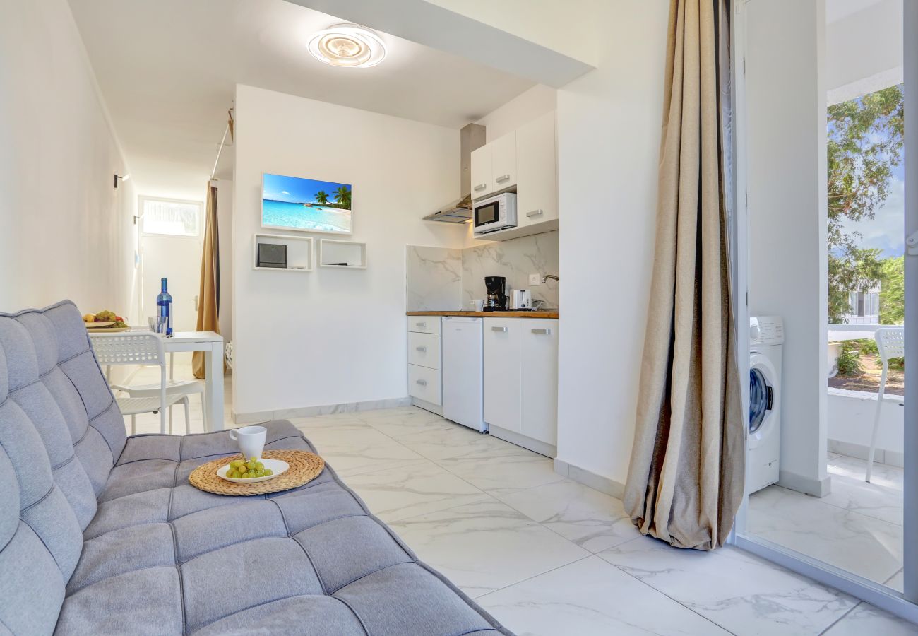 Studio a Costa del Silencio -  Studio Parrot