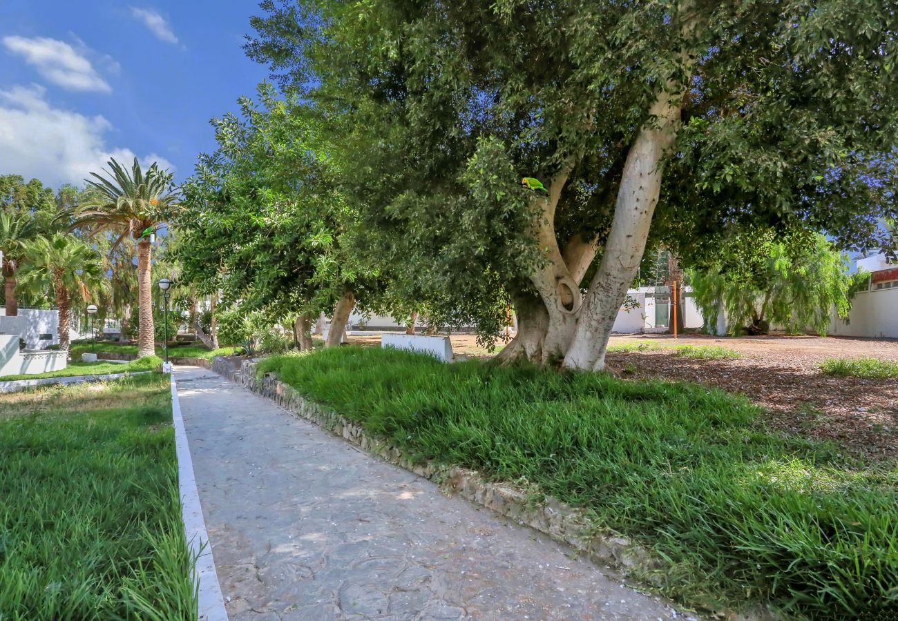 Studio a Costa del Silencio -  Studio Parrot