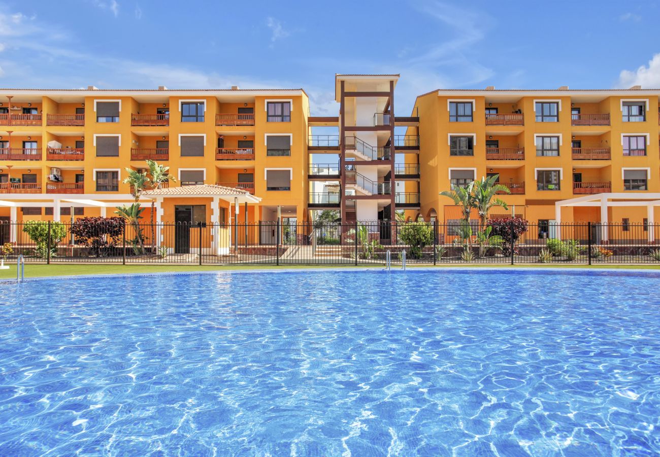 Appartamento a Palm - Mar - Lovely Mocan, Pool, Fast Wi Fi
